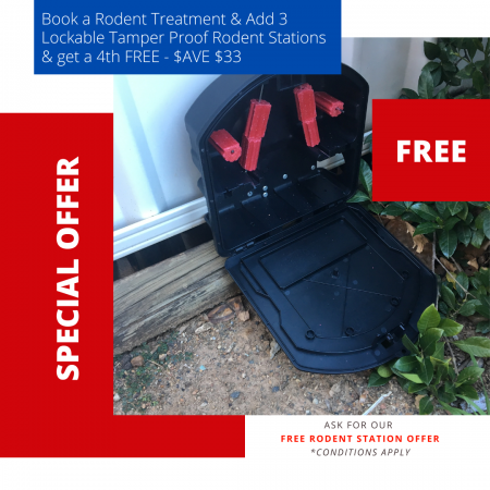 FREE RODENT STATION - BUZZ OFF TERMITES & PESTS