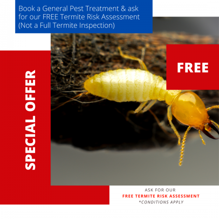 FREE TERMITE RISK ASSESSMENT - BUZZ OFF TERMITES & PESTS